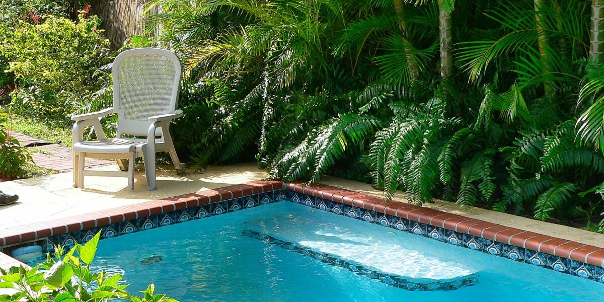 Closeup of a small, rectangular cocktail pool with decorative tiles surrounded by tropical plants and a pool chair.