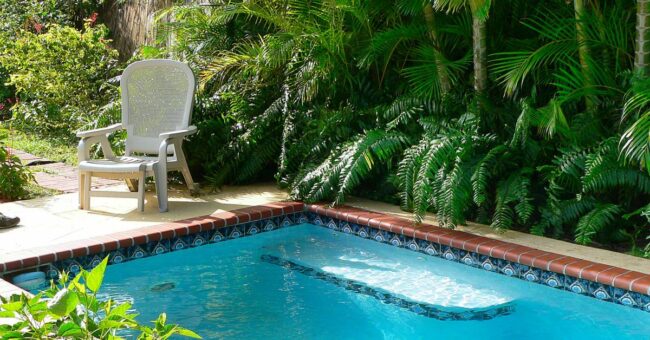 Closeup of a small, rectangular cocktail pool with decorative tiles surrounded by tropical plants and a pool chair.