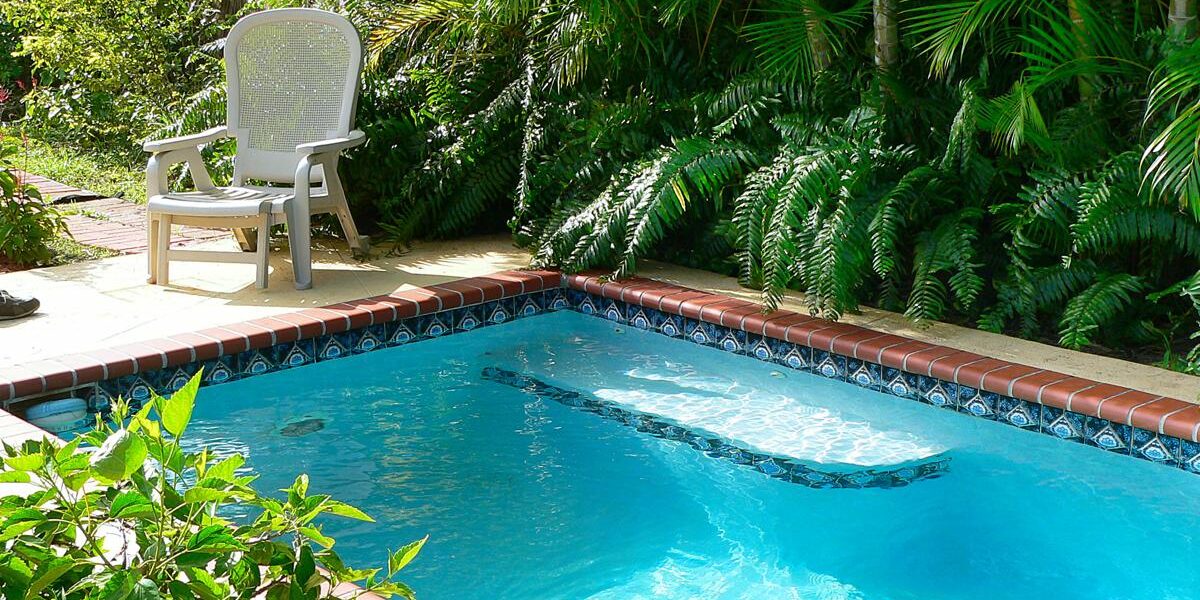 A small rectangular pool that features decorative tiles. The pool is surrounded by tropical plants in a backyard.