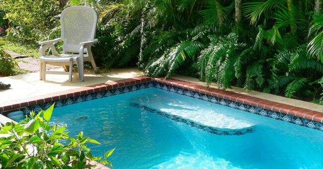 A small rectangular pool that features decorative tiles. The pool is surrounded by tropical plants in a backyard.