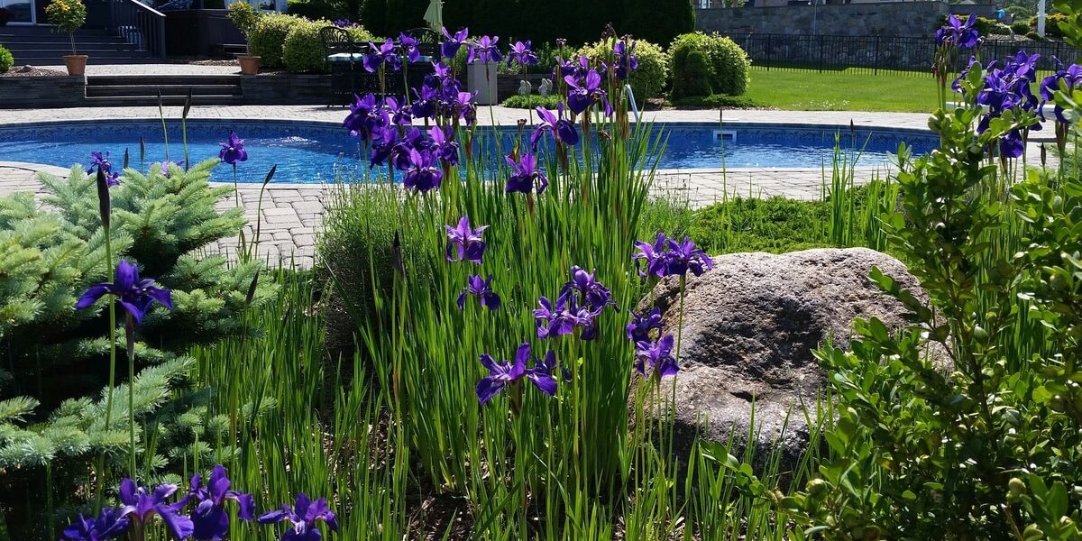 A variety of purple flowers, tall grasses, and green plants and shrubs with a pool in the background.
